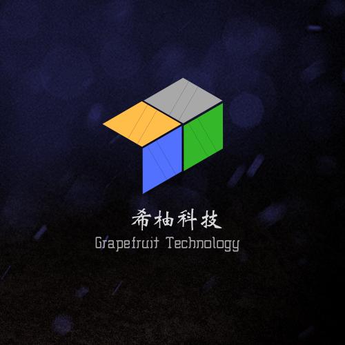 上海希柚信息科技 在數字化浪潮中鑄就信息科技新未來
